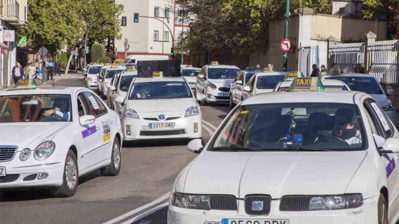 Sin consenso en el sector del taxi en Valladolid para la reducción de la flota