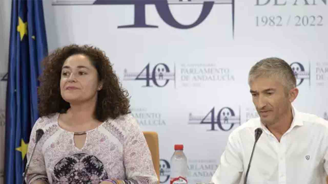 Por Andalucía reclama a Juanma Moreno que cuente con el taxi para la regulación de los VTC