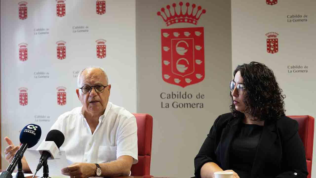 Cabildo y taxistas acuerdan la regulación del Puerto de San Sebastián de La Gomera