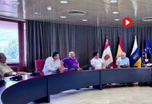 El Cabildo de La Gomera aprueba ayudas para el sector del taxi El Cabildo de La Gomera aprueba ayudas para el sector del taxi