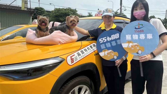 Taichung introduce un servicio de taxi para mascotas