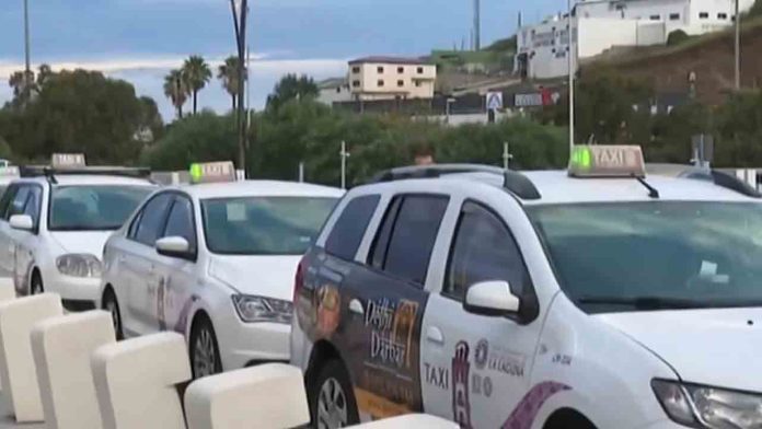 Taxi Sí Canarias se convertirá en federación