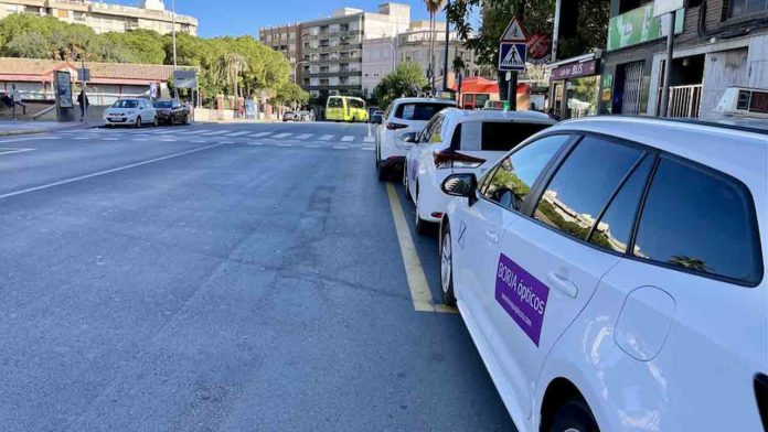 Gandia aumenta los taxis para cubrir la demanda de verano
