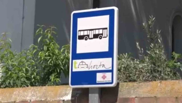 Horta propone ampliar el servicio de taxi a demanda