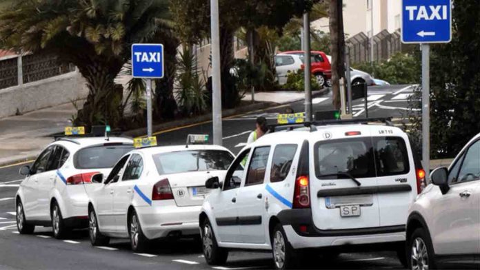Santa Cruz aprueba el rescate de 38 licencias de taxi en este año