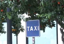 Taxi a demanda para conexiones rurales en Huelva