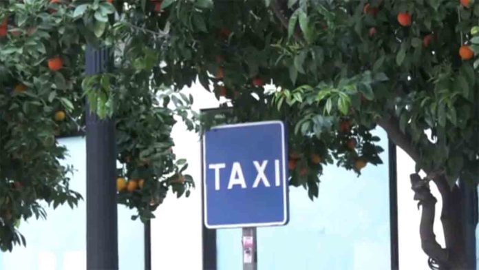 Taxi a demanda para conexiones rurales en Huelva