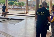 Interceptados tres taxis piratas en un control de la policía en El Ejido