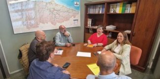 Nueva normativa en Asturias para coordinar taxi y VTC
