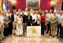 Granada amplía su Área de Prestación Conjunta del taxi a diez municipios