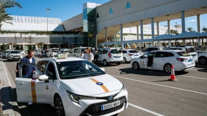 Aumenta el transporte ilegal en las zonas turísticas y el aeropuerto de Mallorca Aumenta el transporte ilegal en las zonas turísticas y el aeropuerto de Mallorca