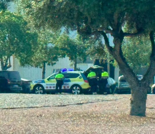 El aeropuerto de Barcelona endurece la vigilancia sobre las VTC y el intrusismo El aeropuerto de Barcelona endurece la vigilancia sobre las VTC y el intrusismo