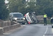 Un taxi vuelca en Almassora tras intentar esquivar a un jabalí Un taxi vuelca en Almassora tras intentar esquivar a un jabalí