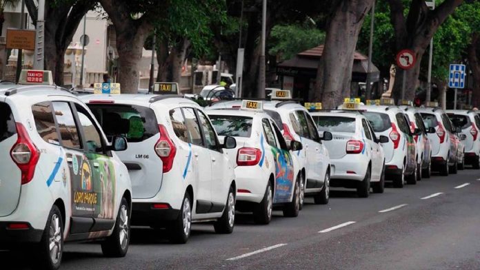 233 aspirantes aprueban el examen de taxista en Santa Cruz 233 aspirantes aprueban el examen de taxista en Santa Cruz